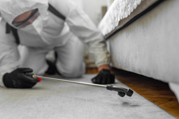 Professional Bed Bug Control technician working in Towns County County, GA